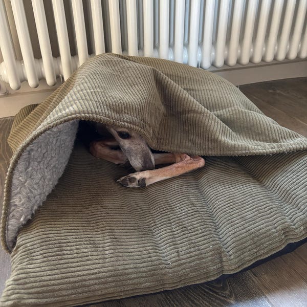 Great & Small Snuggle&Snooze Soft Pet Blanket Bed | Pets Corner