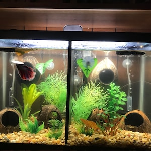 Lisa added a photo of their purchase