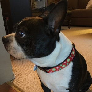CathyJo added a photo of their purchase