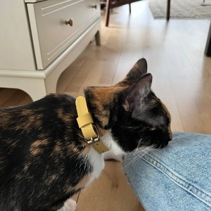 Emily added a photo of their purchase