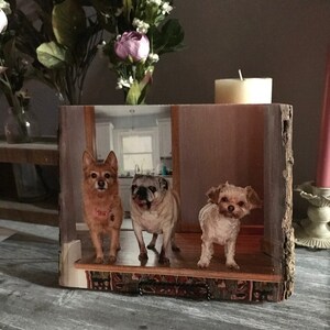 Emily added a photo of their purchase
