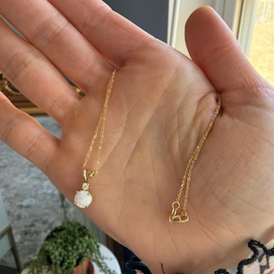 Holly added a photo of their purchase