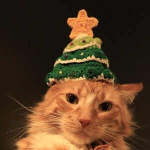 Weimin ha añadido una foto de su compra