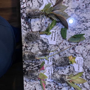 Comprador de Etsy ha añadido una foto de su compra