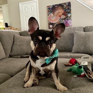 Holly added a photo of their purchase