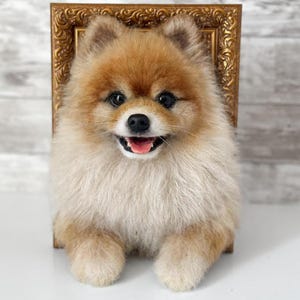 Michelle added a photo of their purchase