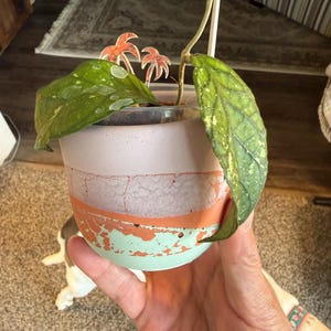 Joan added a photo of their purchase