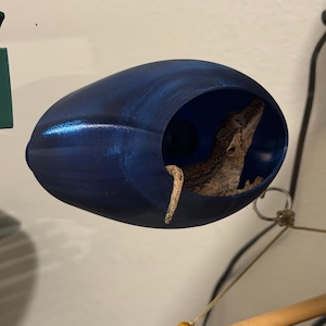 Andrew added a photo of their purchase