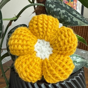E added a photo of their purchase