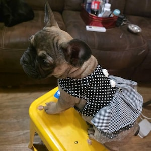 JACQUELYN added a photo of their purchase