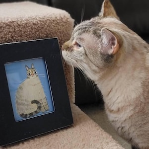 R.E. adicionaram uma foto da sua compra