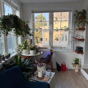 Julie-Ann added a photo of their purchase