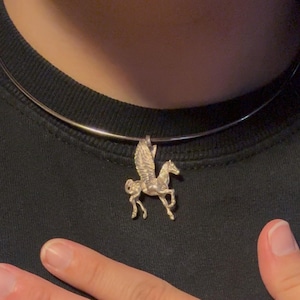 Elizabeth added a photo of their purchase