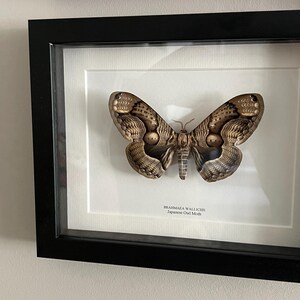 Kate added a photo of their purchase