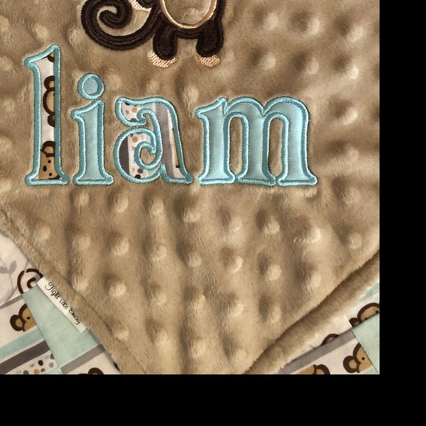 Blake Applique Monogram Set 2″, 3″, 4″ - Lowercase Letters Only ...