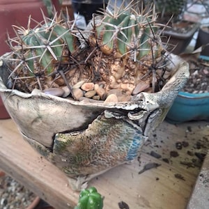 thomas ha aggiunto una foto del proprio acquisto
