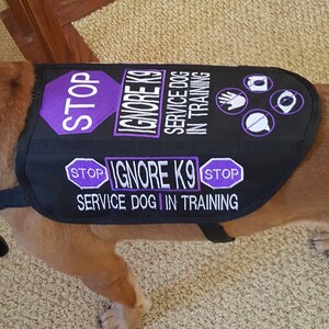 personalized therapy dog vest