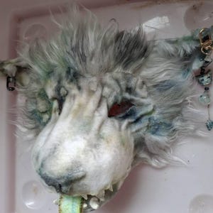 Kirsten added a photo of their purchase