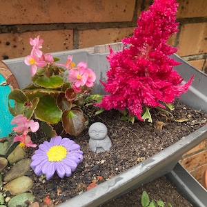Julie added a photo of their purchase