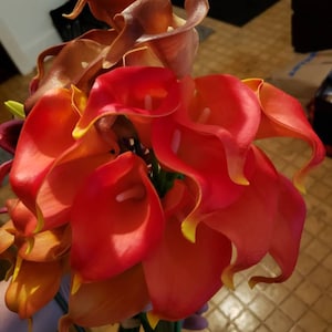 Bobbi added a photo of their purchase