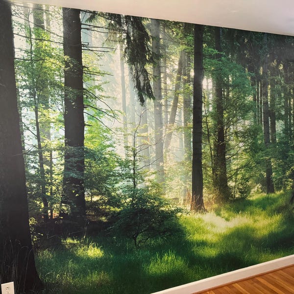 Spruce Tree Forest Wallpaper Mural - Removable Peel and Stick Wall Art ...