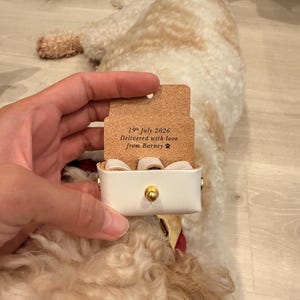 Jade ha aggiunto una foto del proprio acquisto