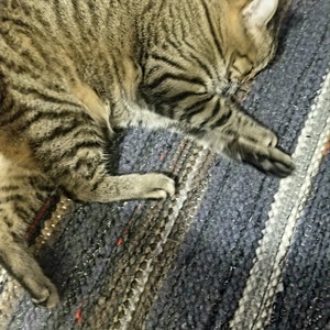 Lauren added a photo of their purchase