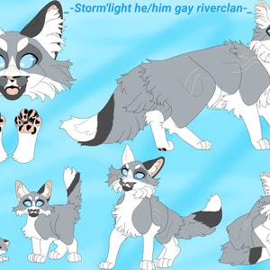Warriors Reference Sheet Base Feline Cat Lineart Base Etsy Canada