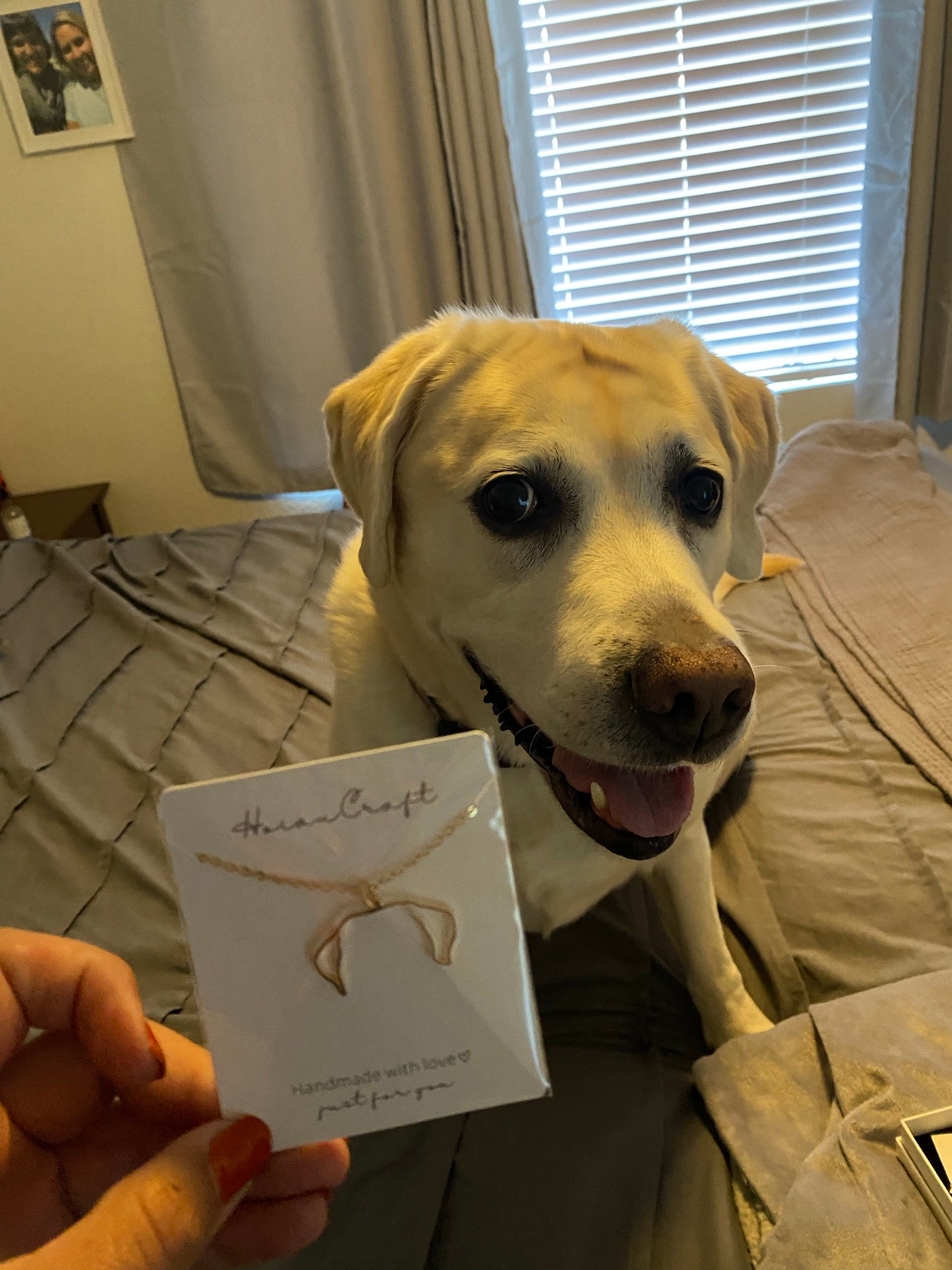 Custom Dog Ears Outline Necklace - Personalized Pet Jewelry - Animal Silhouette Pendant- Unique Dog Lover Gift - Memorial Pet Portrait Gift