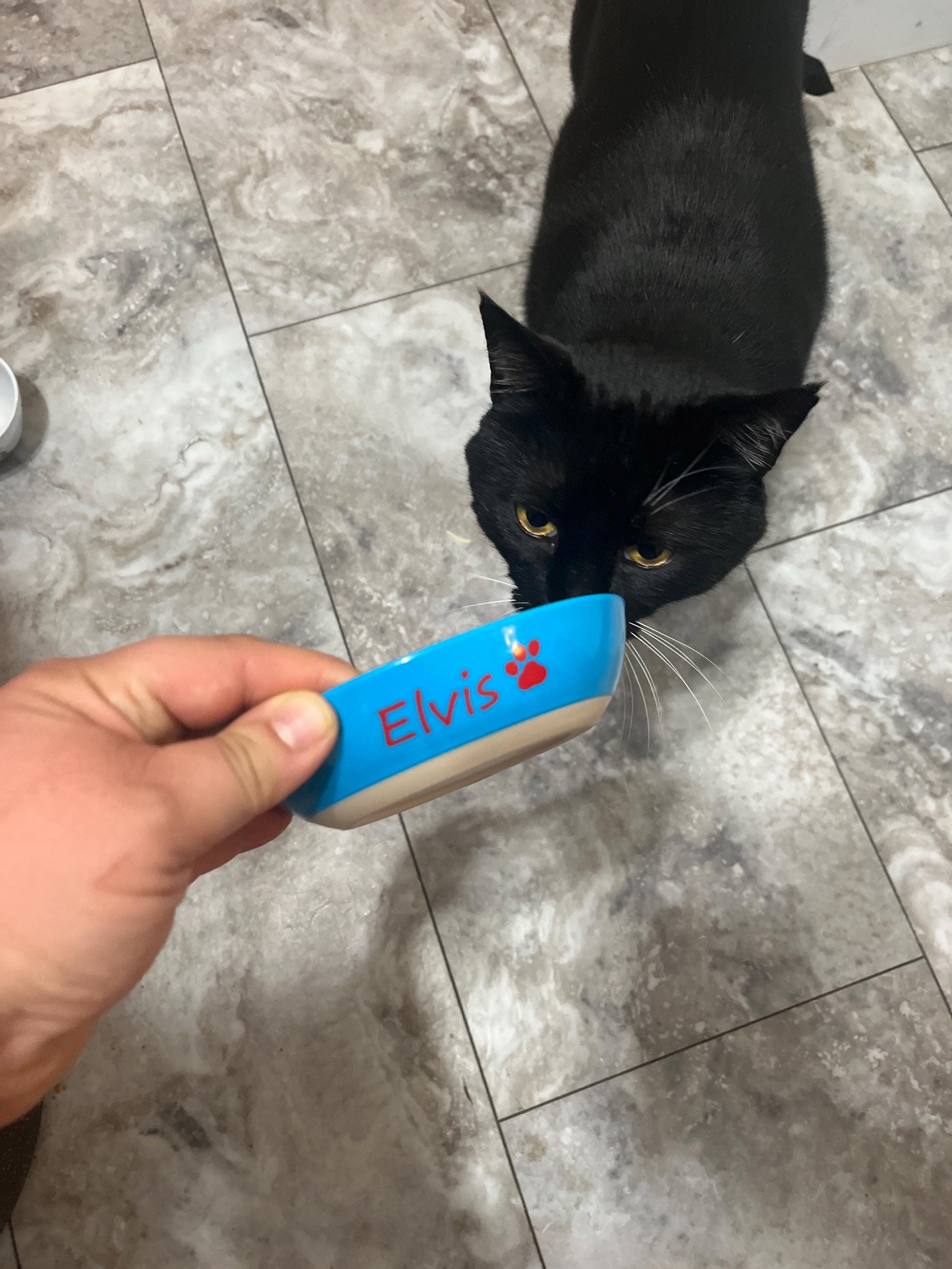 Personalisierter Katzennapf, individueller Katzennapf, rutschfester Katzennapf, individueller Haustiernapf