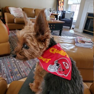 Peggy added a photo of their purchase