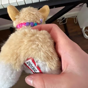 Charlie hat ein Foto des gekauften Artikels hinzugefügt