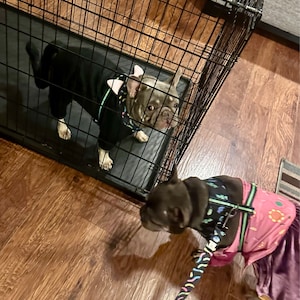 Jennifer added a photo of their purchase