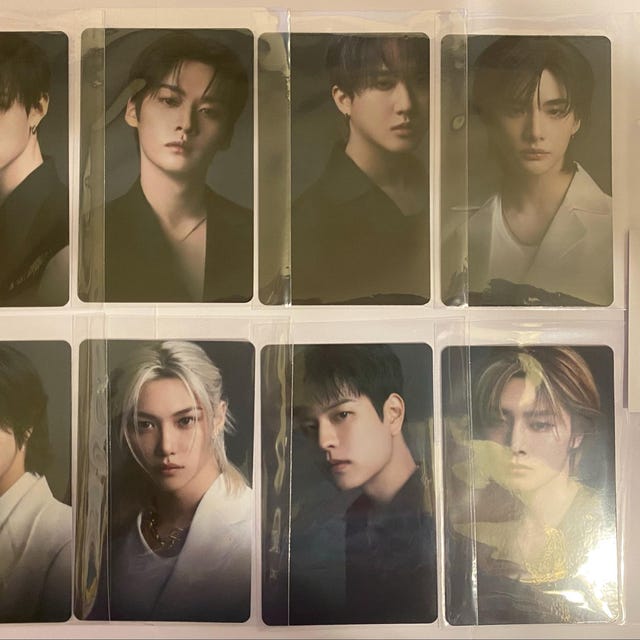 Stray Kids SKZ Dicon Photocards -preorder - Etsy