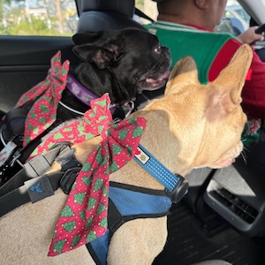 Michelle added a photo of their purchase