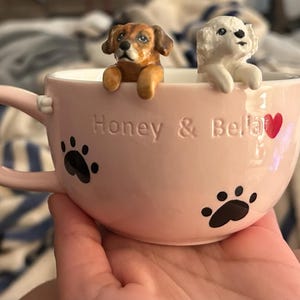 Sal added a photo of their purchase