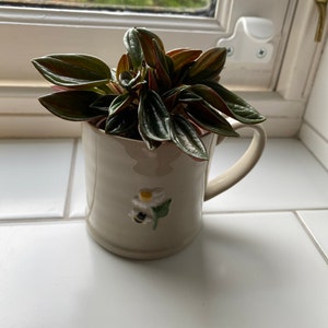 Magdalena added a photo of their purchase