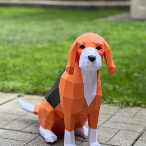 Danix ha añadido una foto de su compra