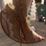 Reviewer's image