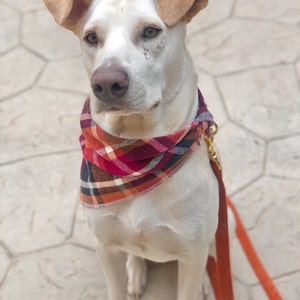 burgundy velvet bow tie and suspenders