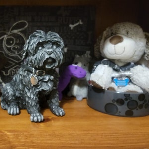 Jody added a photo of their purchase