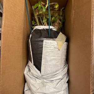 Phyllis added a photo of their purchase