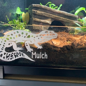 Eel hat ein Foto des gekauften Artikels hinzugefügt