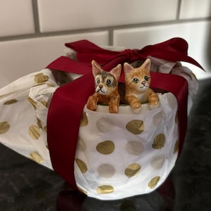 Tera added a photo of their purchase