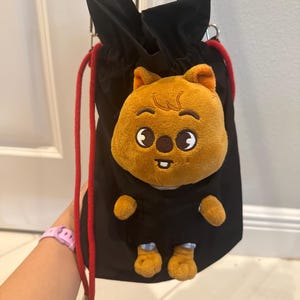 SKZOO Bag, Skzoo Carrier Bag, Concert Bag, Stray Kids Merchendise