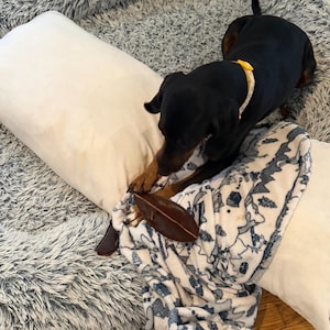 Holly added a photo of their purchase