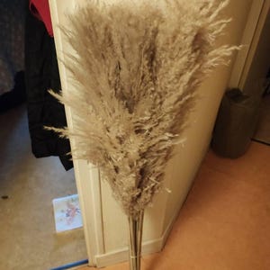 Véronique added a photo of their purchase