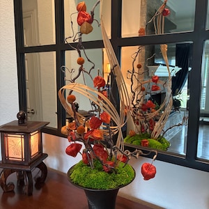 Jean added a photo of their purchase