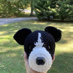 shannon added a photo of their purchase