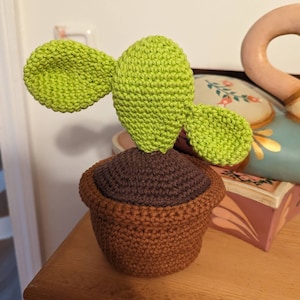 Katie added a photo of their purchase